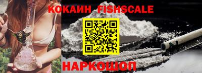 спиды Кингисепп