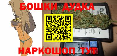 спиды Кингисепп