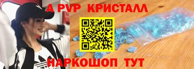 спиды Кингисепп