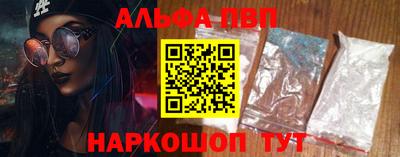 спиды Кингисепп