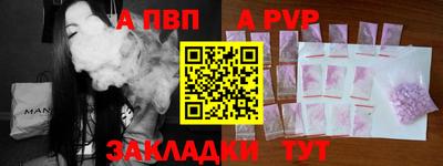 спиды Кингисепп