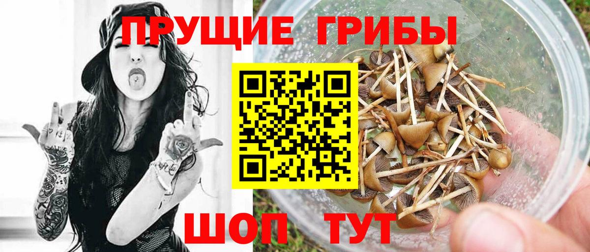 Псилоцибиновые грибы мицелий Красный Сулин