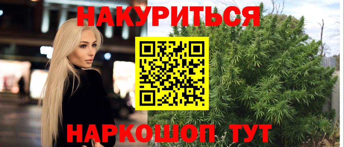 Канабис конопля Красный Сулин